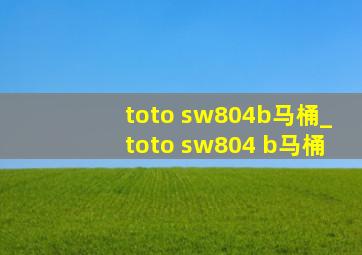 toto sw804b马桶_toto sw804 b马桶